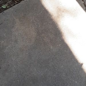 Meet your Posher, Roger